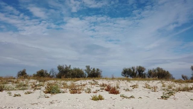 Wild seashore of the Black Sea, Kinburn Foreland, Ukraine