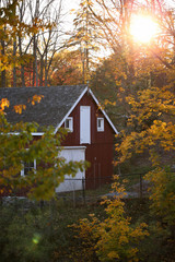 Red Barn with fall leaves