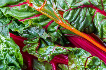 Top down close up view of a bunch of fresh rainbow Swiss chard leaves.
