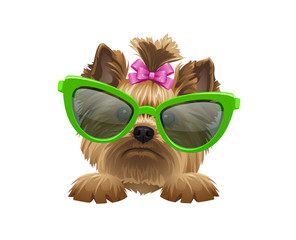 illustration of cute dog with ribbon  and glasses