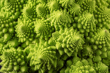 Romanesco broccoli on a dark wooden background. For vegans and a healthy diet. Copy space