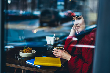 Contemporary lady in casual sweater with cup of coffee and laptop at cafe