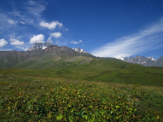Mountain landscape of Svaneti on bright summer sunny day. Mountain lake, hills covered green grass on snowy rocky mountains background. Caucasus peaks in Georgia. Amazing view on wild georgian nature