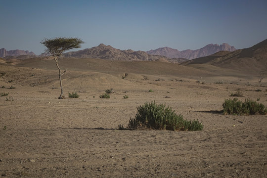 Desert in northern Saudi-Arabia