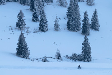 Cyclist rides in the winter snowy winter landscape with trees and snow