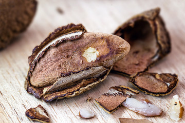 Brazil nut, Amazon nut, acre nut, Brazil nut, Amazon nut, Bolivian nut, Toquei or Tururi, is a large tree, very abundant in northern Brazil and Bolivia , whose fruit contains the chestnut.