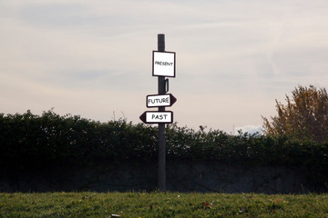 three signs indicating the way to anywhere in a park