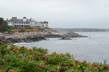 Seashore in Maine