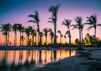 Obraz premium beach sunset tree tropical sea sky pool sunrise lake ocean summer nature sun silhouette landscape hotel