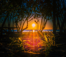 sun sunset water lake sea beach tree nature sunrise sky landscape dusk ocean cloud palm tropical silhouette color twilight © Alberto GV PHOTOGRAP