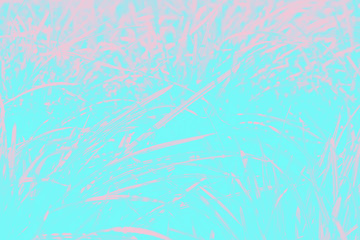 Turquoise aqua aquamarine and coral color gradient background, striped grass pattern