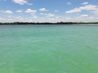 greenish sea with blue sky and white clouds, in Maragogi