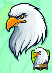 American Bald Head Eagle head for mascot and logo design