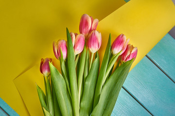 beautiful pink tulips lie on curled paper and a turquoise tree. Spring card. Valentine's Day. March 8