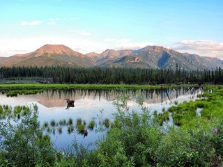 A road trip to Alaska