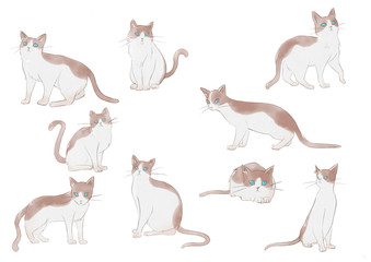 猫イラストセット