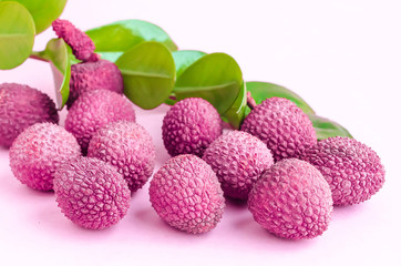 unpeeled ripe exotic tropical lychee fruit in shell with green leaves on pink background closeup, from Thailand, China for making dessert and wine