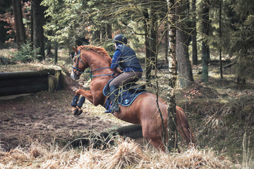 Pferd und Reiter springen eine Geländestrecke 