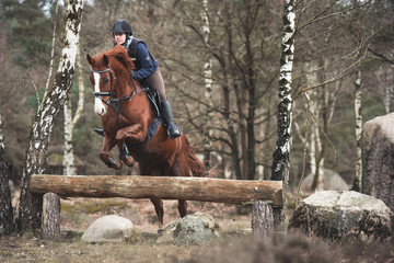Reiterin springt mit ihrem Pferd über ein Geländehindernis © Talitha