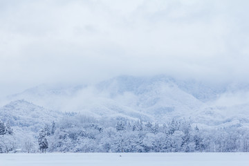 Fototapeta na wymiar 山に降る雪　冬イメージ　秋田県の自然風景　山と森林
