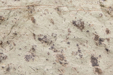 Stone texture and background. Rock mineral exclusive unique texture