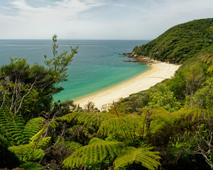 Anapai Bay, Abel Tasman National Park, New Zealand.