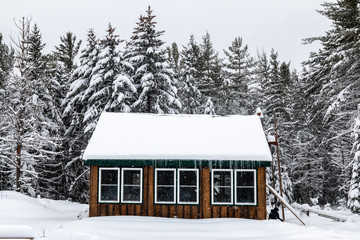 A cozy cabin deep in the Adirondack Mountains. Temperatures ranged from 0 F (day) to -15 F (night). - 321164125