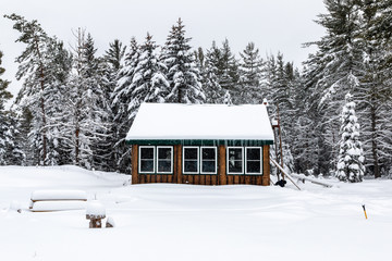 A quaint cabin resting in the fluffy Adirondack snow.  - 321164163
