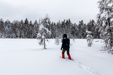 A man snowshoes deep in the Adirondack backcountry. - 321164182