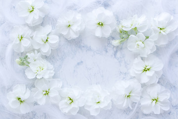 柔らかな白い花と羽　背景画像