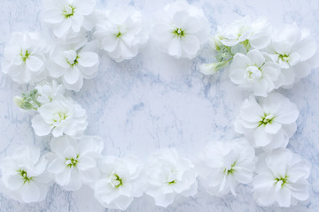 柔らかな白い花　背景画像