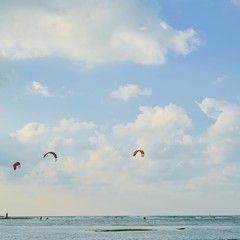 kite flying in the sky