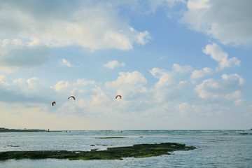 kite on the beach