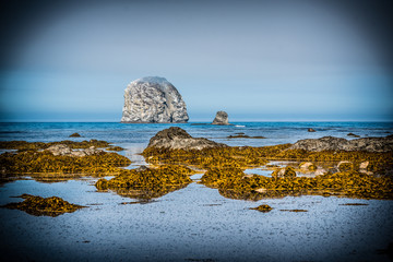 coast rock formations