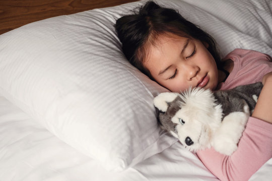 Young little mixed race multiethnic Asian girl sleeping in bed with her dog soft toy, bedtime routine, wake up kid for school, children sleep disorder
