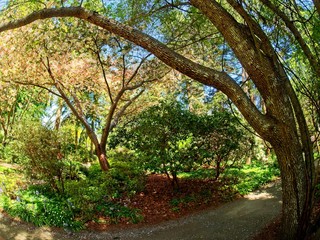 Finnerty Gardens