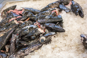 FUNCHAL, MADEIRA, PORTUGAL