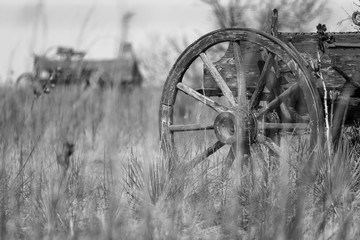 Fototapeta na wymiar Old wagon wheel on wagon in tall grass with wagon in the background in black & white