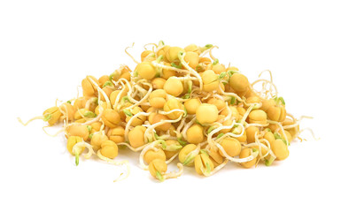 snow pea sprouts isolated on white background