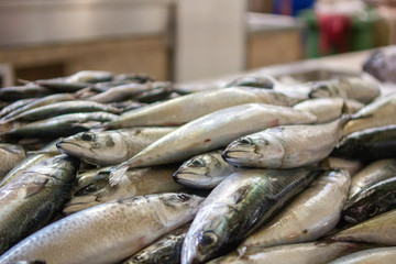 FUNCHAL, MADEIRA, PORTUGAL