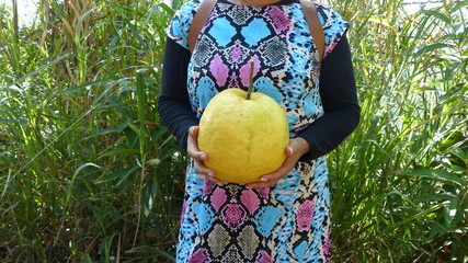Mujer cargando limón gigante