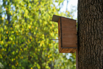 City Park with houses for birds in the trees