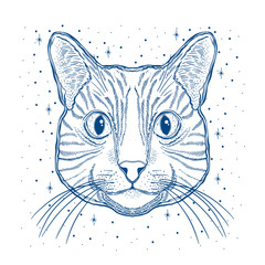 Obraz premium Mystic magic cat. Portrait face head hand drawn vintage style.Line art ink painting.Graphic design tatoo.