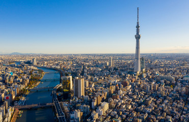 Aerial view Sunrise of Tokyo City Skyline,Japan.