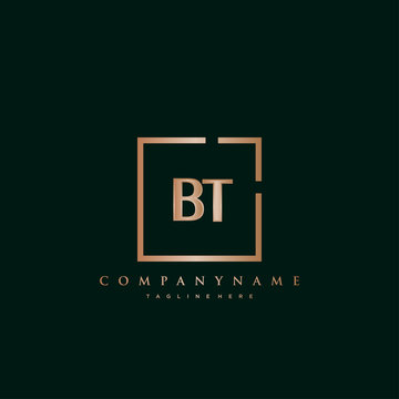 BT Initial Luxury logo vector.