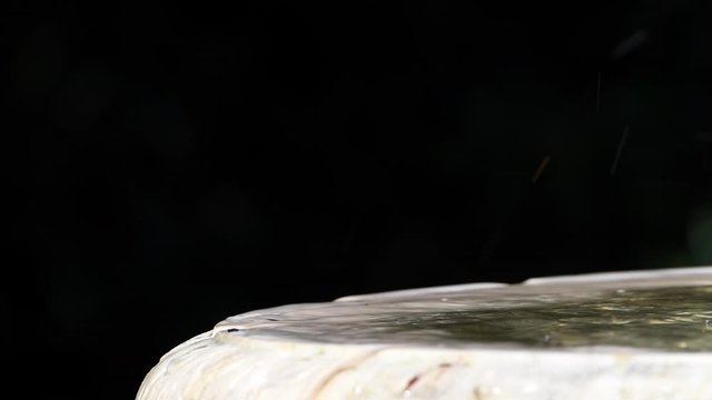 HD video of one wood thrush (Hylocichla mustelina) a North American passerine bird, perched on the side of a bird bath then flies away.