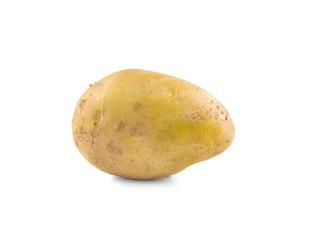potato an isolated on white background
