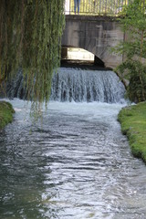 Fototapeta premium waterfall in the park