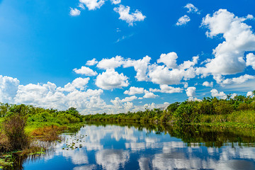 Obraz na płótnie Canvas Everglades wetland in Florida, Everglades and Francis S. Taylor Wildlife Management Area