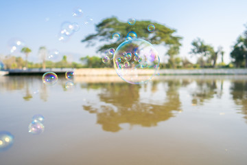 Floating soap bubbles at the lake, use for background.